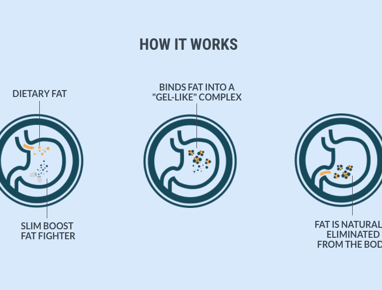 fat_fighter_how_it_works